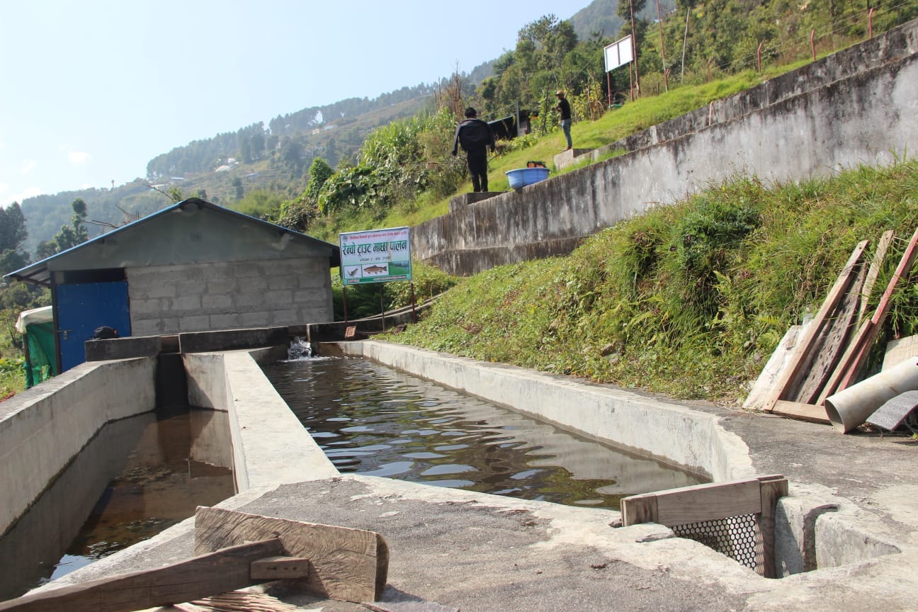 Rainbow Trout Farm